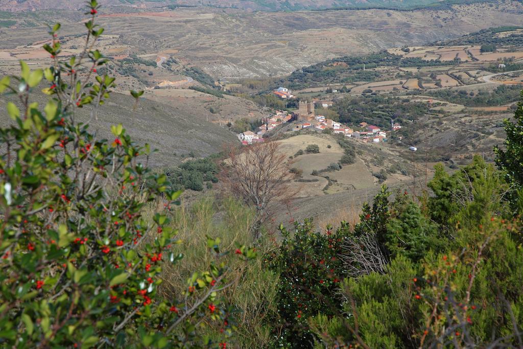 Vivienda Turistica Los Mesones Ágreda Buitenkant foto